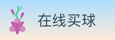 在线买球 logo